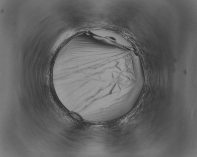 X0000088410054200706191432