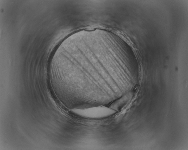 X0000088410055200706191432