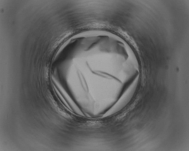 X0000088410057200706191432