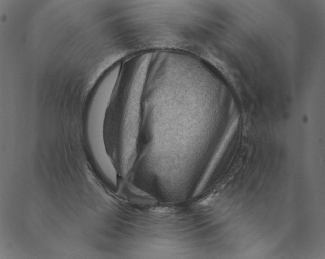 X0000088410060200706191432
