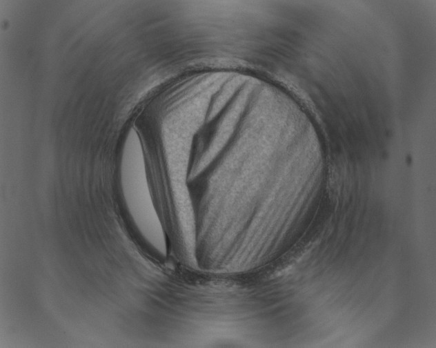 X0000088410063200706191432