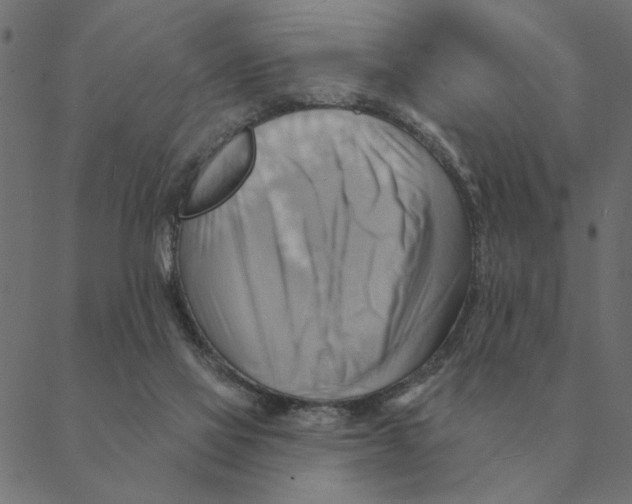 X0000088410069200706191433
