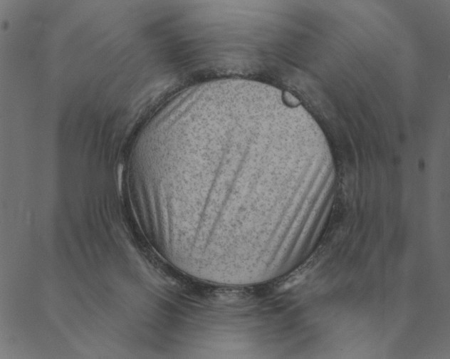 X0000088410070200706191433
