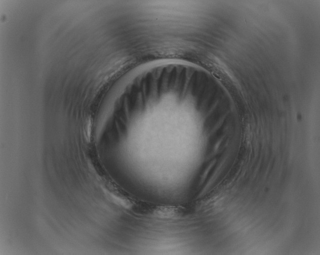 X0000088410076200706191433