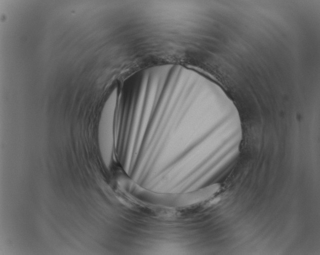 X0000088410088200706191433