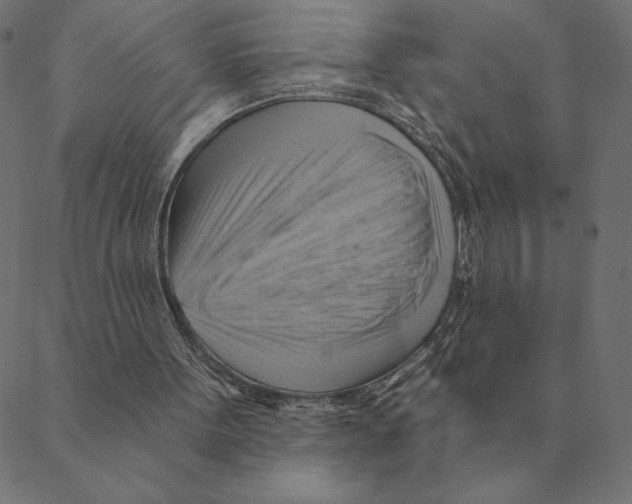 X0000088410099200706191432