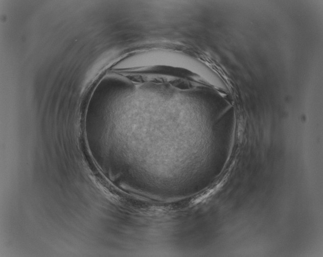 X0000088410101200706191432