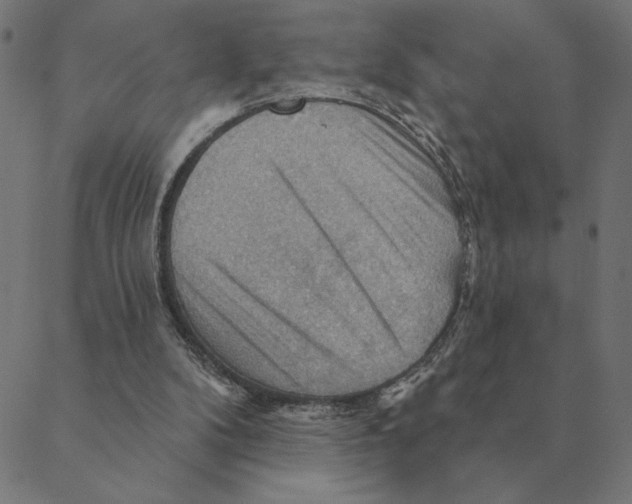 X0000088410104200706191432
