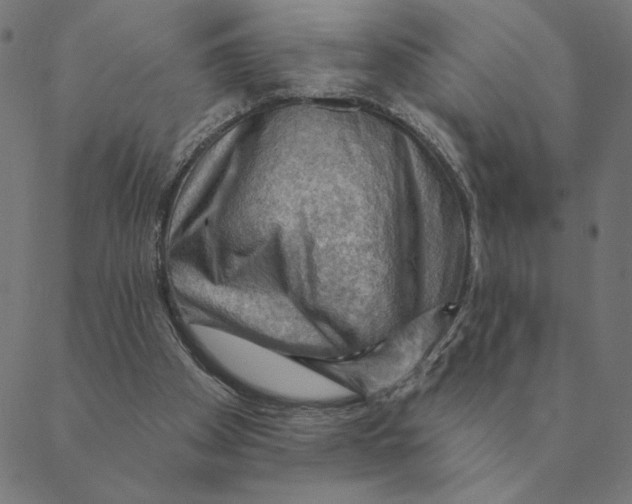 X0000088410105200706191432