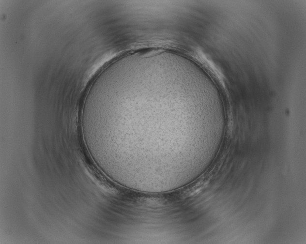 X0000088410107200706191432