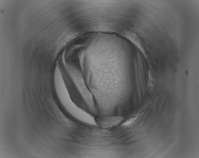 X0000088410109200706191432