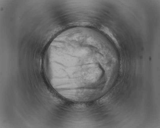 X0000088410110200706191432