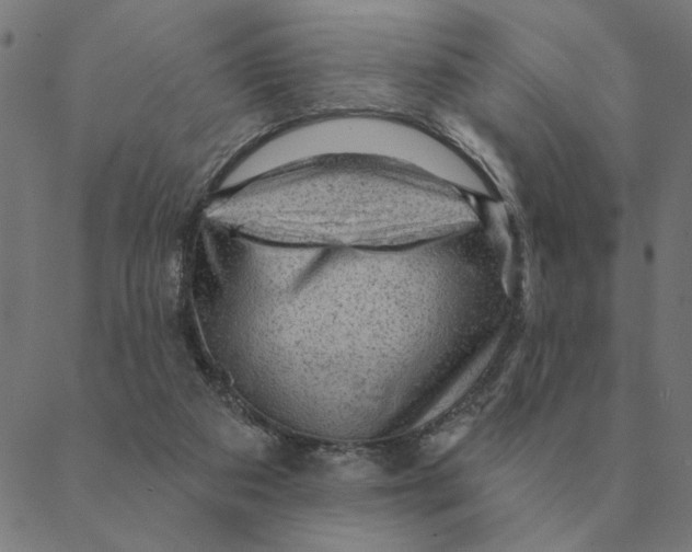 X0000088410113200706191432