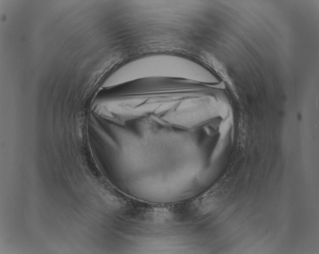 X0000088410114200706191432