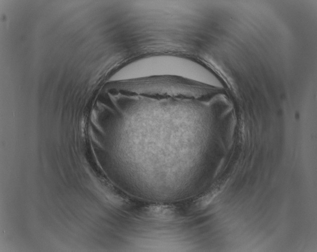 X0000088410117200706191432