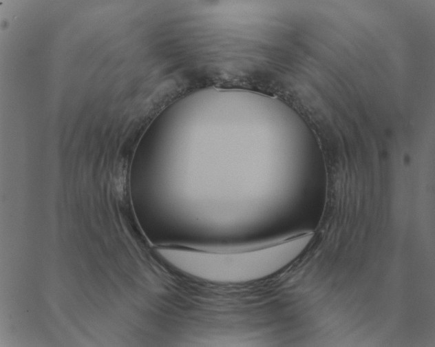 X0000088410129200706191432