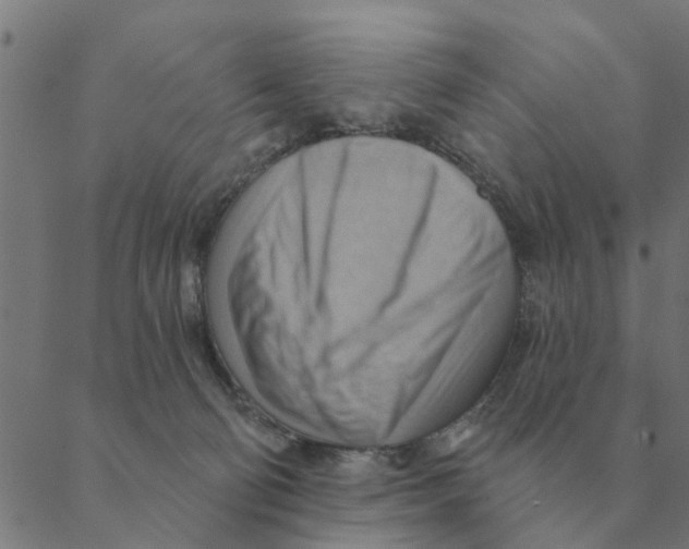 X0000088410130200706191432