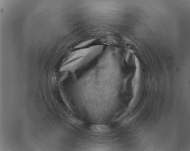 X0000088410137200706191432