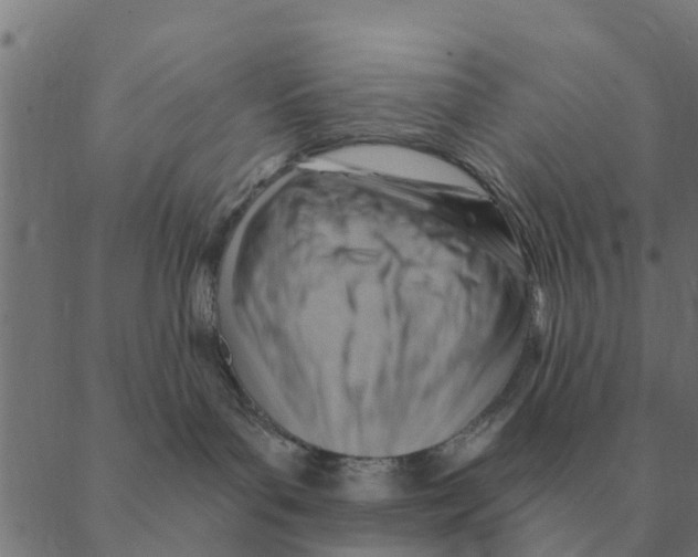 X0000088410143200706191431