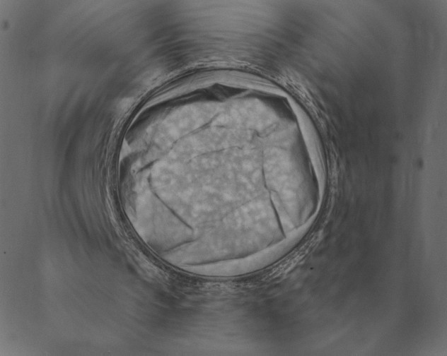 X0000088410145200706191431