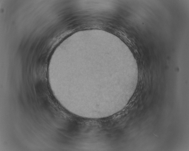 X0000088410146200706191431