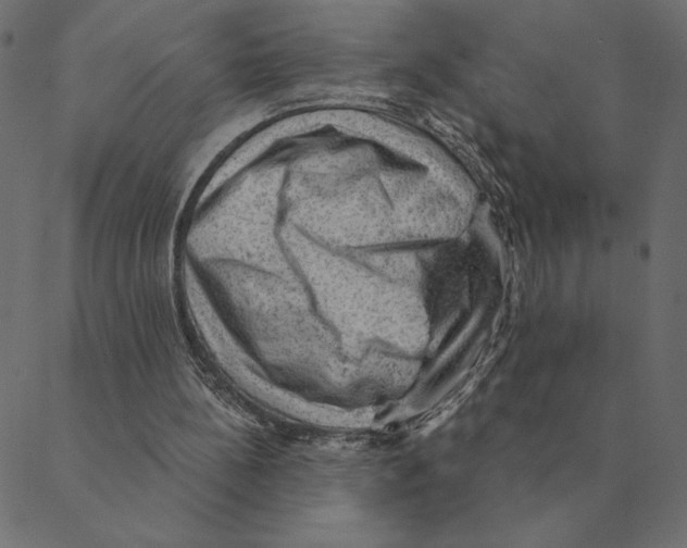 X0000088410148200706191431