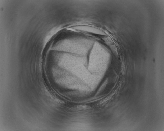 X0000088410152200706191431