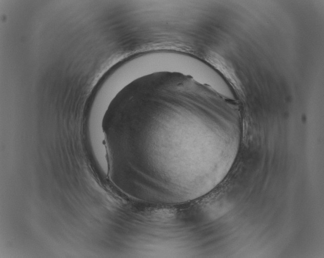 X0000088410156200706191431
