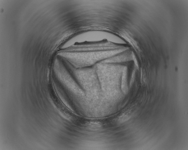 X0000088410157200706191431