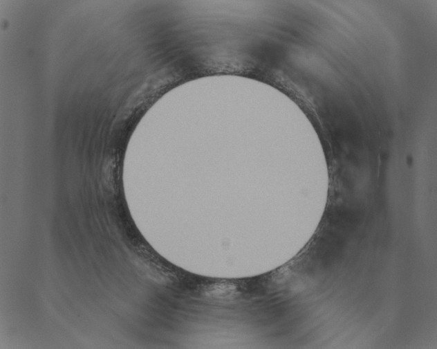 X0000088410162200706191431