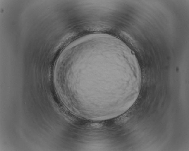 X0000088410163200706191431