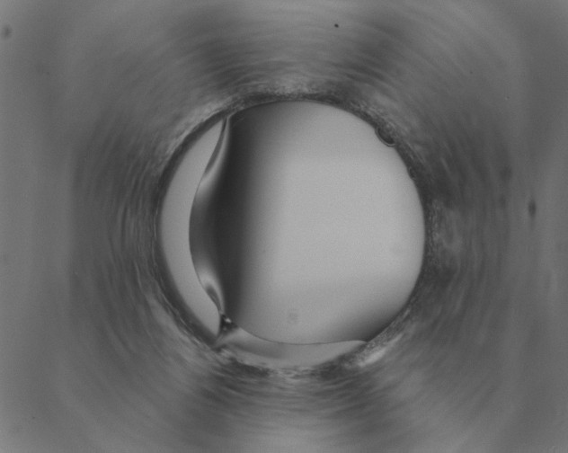 X0000088410164200706191431