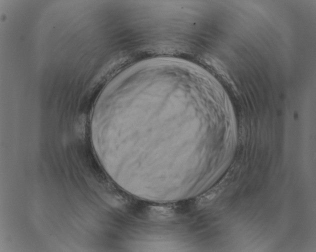 X0000088410167200706191431