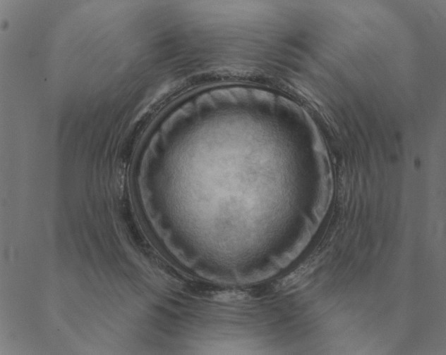 X0000088410168200706191431