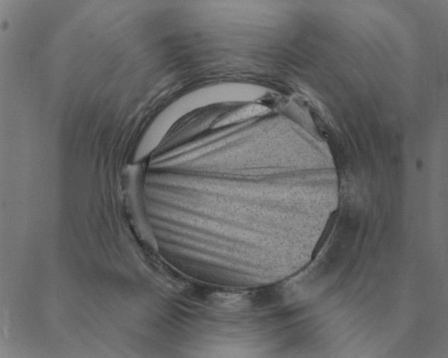 X0000088410170200706191431