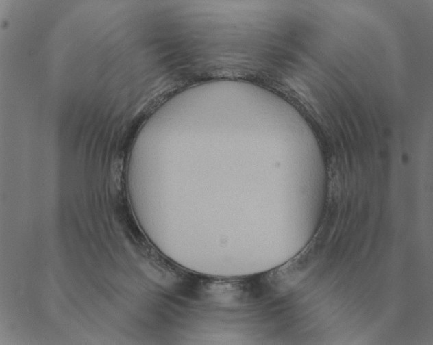 X0000088410171200706191431