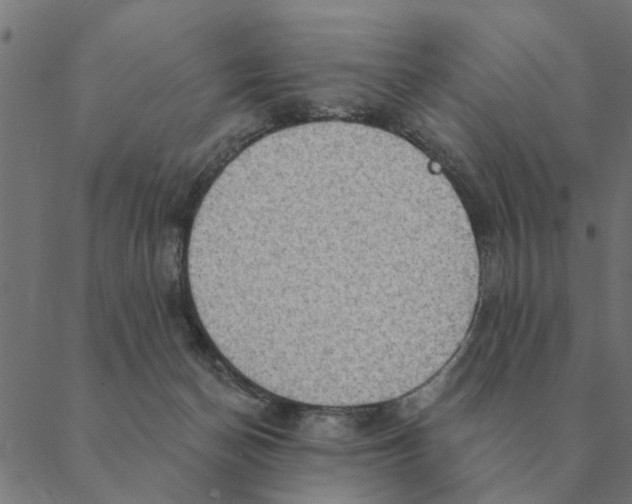 X0000088410174200706191431