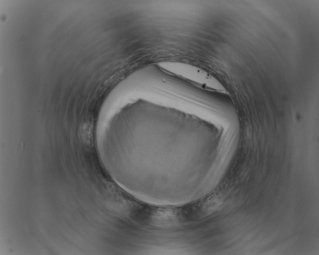 X0000088410177200706191431