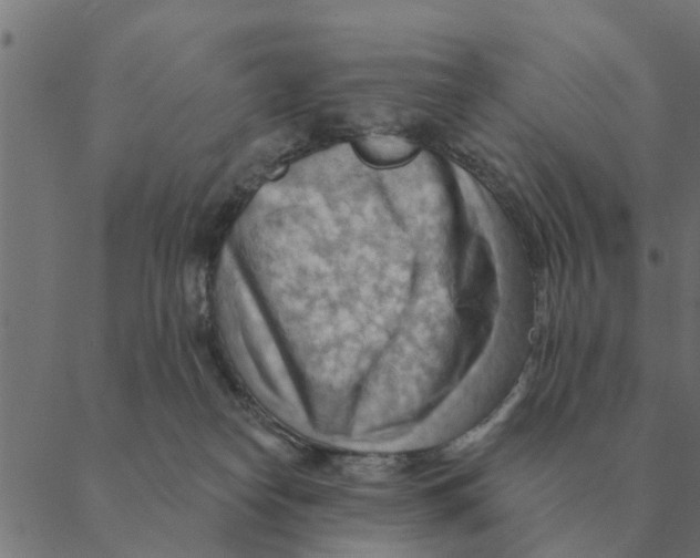 X0000088410182200706191431