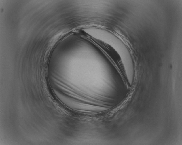 X0000088410193200706191431