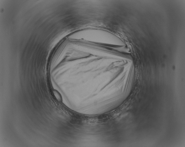 X0000088410196200706191431