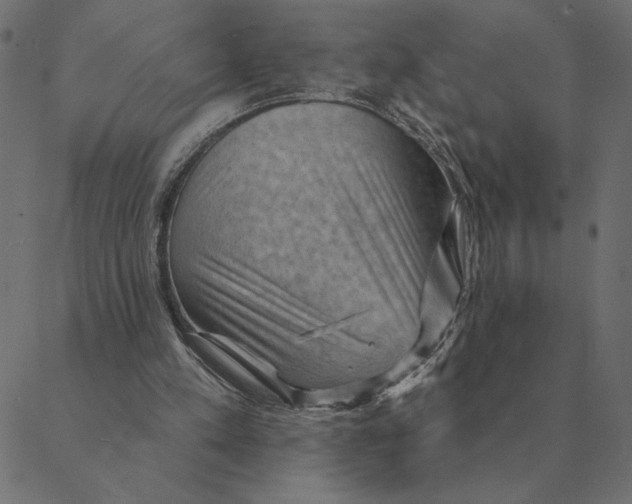 X0000088410197200706191431