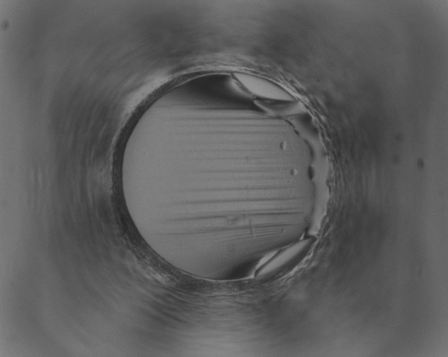 X0000088410200200706191431