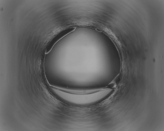 X0000088410201200706191431