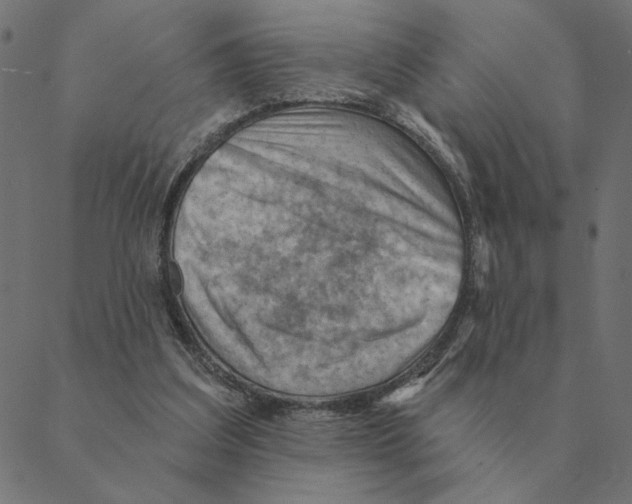 X0000088410203200706191430