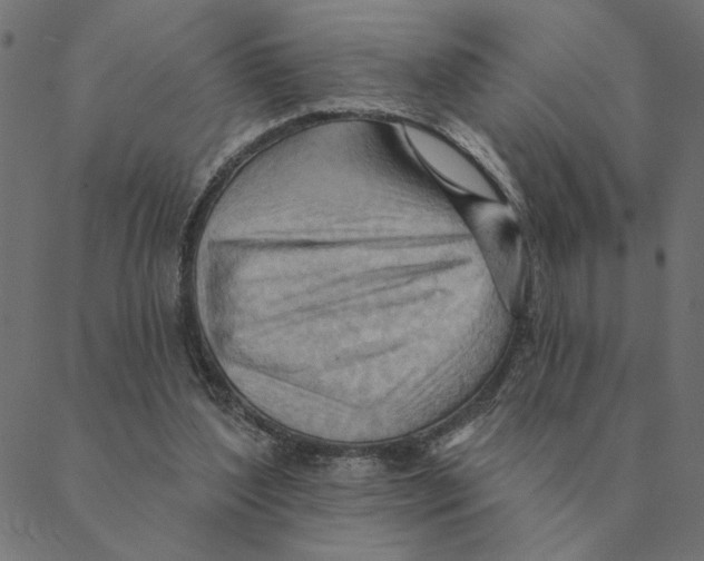 X0000088410204200706191430