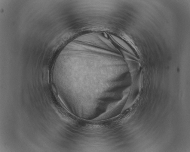 X0000088410205200706191430