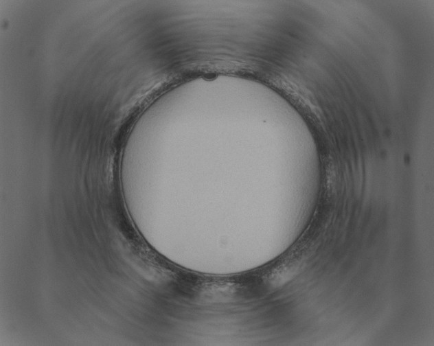 X0000088410206200706191430