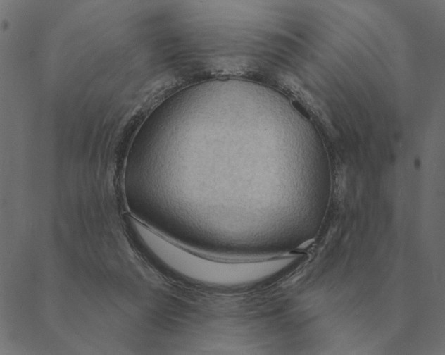 X0000088410209200706191430