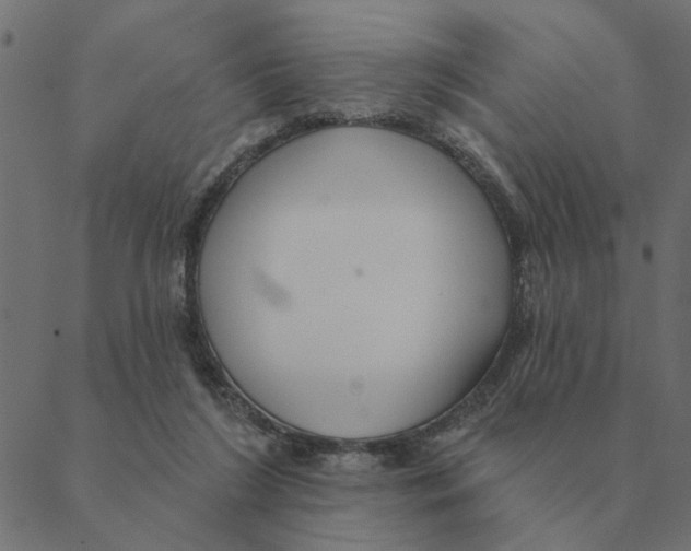 X0000088410212200706191430